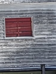 20250204_125800.jpg