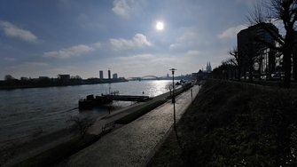 IMG_20250204_134301.jpg