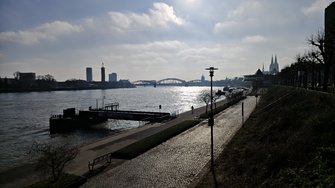 IMG_20250204_134310.jpg
