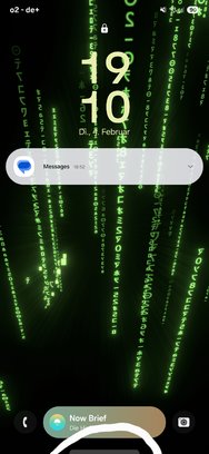 Screenshot_20250204_191055_One UI Home.jpg