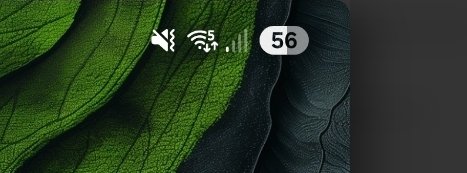 Screenshot_20250205_054817_Samsung Internet.jpg