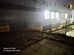20250205_062816.jpg