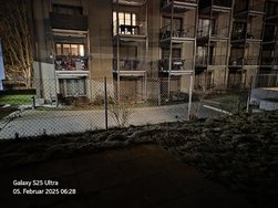 20250205_062805.jpg