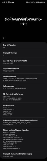 Screenshot_20250205_103805_Settings.jpg