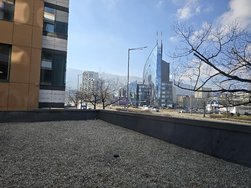 20250205_114428.jpg