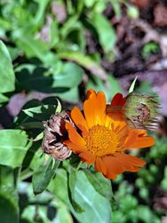 IMG_20250131_123952.jpg