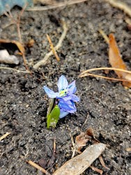 IMG_20250202_131737.jpg