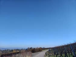 IMG_20250205_125936740_HDR.jpg