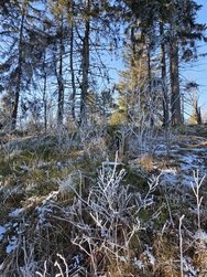 S25-Test18.jpg