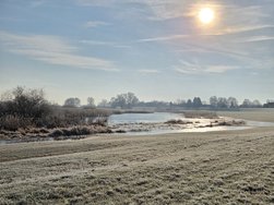 20250203_101149.jpg