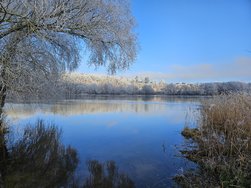 20250119_111549.jpg