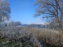 20250119_111538.jpg