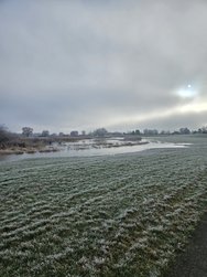 20250119_105540.jpg