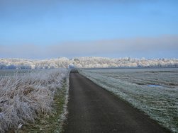 20250119_105647.jpg