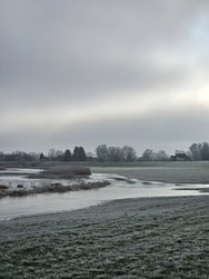 20250119_105527.jpg