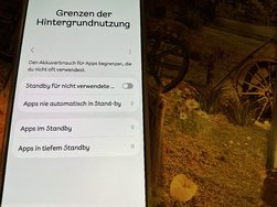 IMG_0127.jpeg