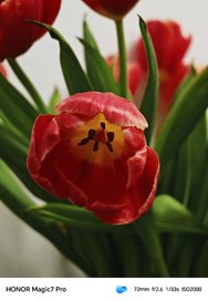 IMG_20250206_075352.jpg