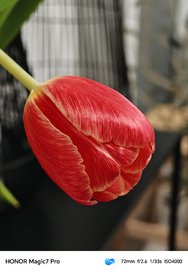 IMG_20250206_075206.jpg