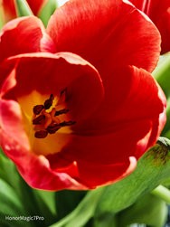 IMG_20250206_064544.jpg