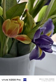 IMG_20250206_133732.jpg
