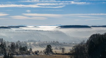 IMG_20250203_102659-2.jpg