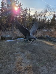 20250204_154917.jpg