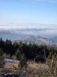 20250204_153610.jpg