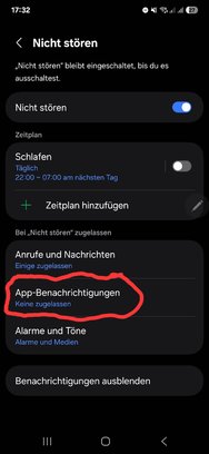 Screenshot_20250206_173224_Settings.jpg