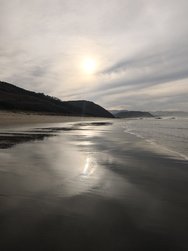 IMG_20250206_164724.jpg