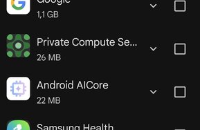Screenshot_20250206_215452_Google Play Store.jpg