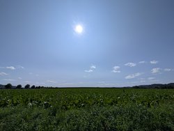PXL_20240824_114701751.jpg