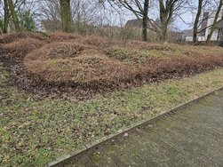 20250206_122108.jpg