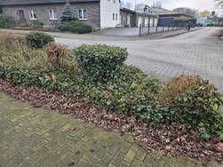 20250206_122134.jpg