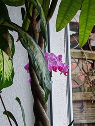 IMG_20250207_095336.jpg