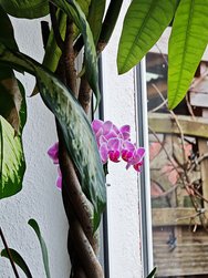 IMG_20250207_095337.jpg