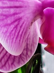 IMG_20250207_095848.jpg