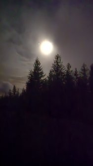 20240313_201323.jpg