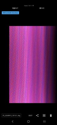 5415821252381238615.jpg