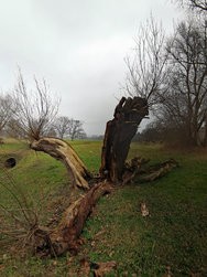 IMG_20250205_133816.jpg