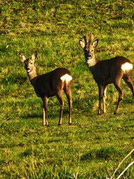 IMG_20250208_093048.jpg
