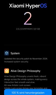 Screenshot_2025-02-08-09-50-39-737_com.android.updater.jpg