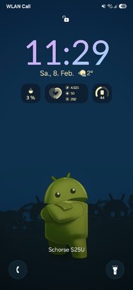 Screenshot_20250208_112928_Nova Launcher.jpg