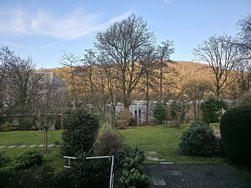 S25U20250208_161013.jpg