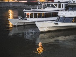 IMG_20250208_175146854.jpg