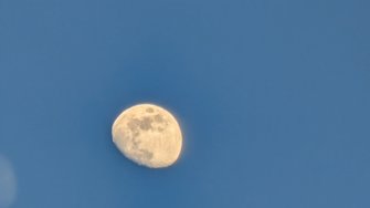 PXL_20250208_162049119.NIGHT.jpg