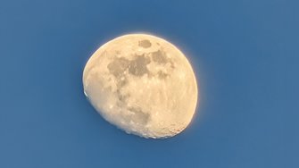 PXL_20250208_162049119.NIGHT~2.jpg