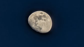 PXL_20250208_162829644.NIGHT~3.jpg