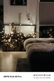 IMG20250208195001.jpg