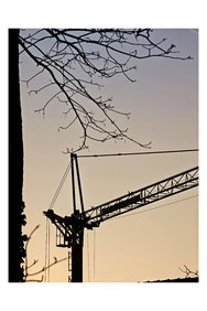 IMG_20250204_173323.jpg