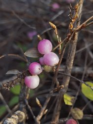 IMG_20250208_105748.jpg